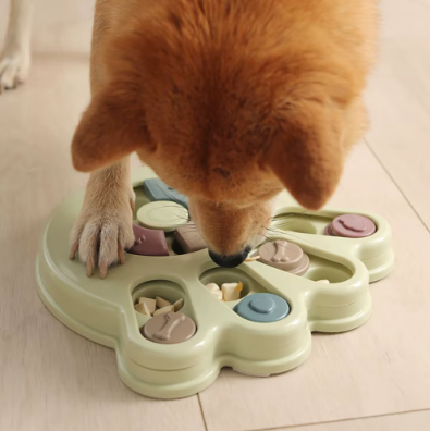 Gamelle Interactive pour Chien - Stimulez l'Esprit et l'Appétit de Votre Grand Chien